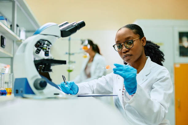 istock Young black biochemist examining sample on microscope slide during a research in a lab. 1488815706