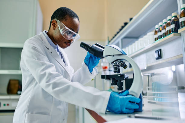 istock Black female doctor adjusting microscope during a research in laboratory. 1488815773