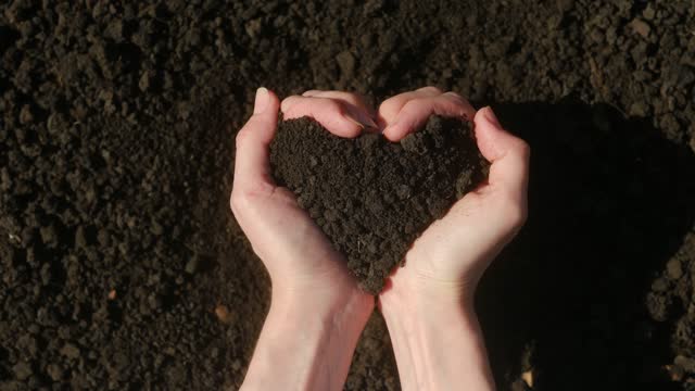 Hands holding an earth heart.