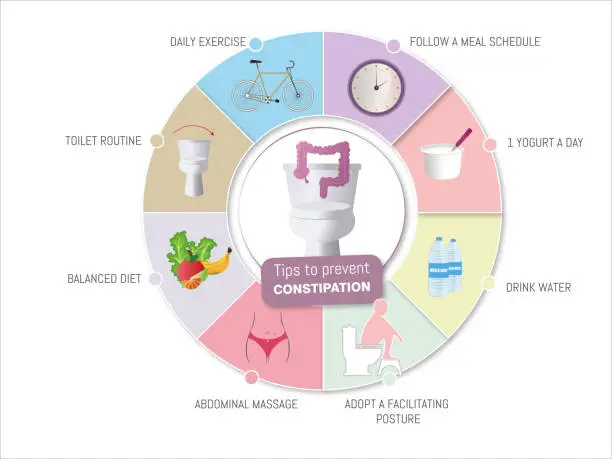 Vector illustration of Infographic on how to prevent constipation