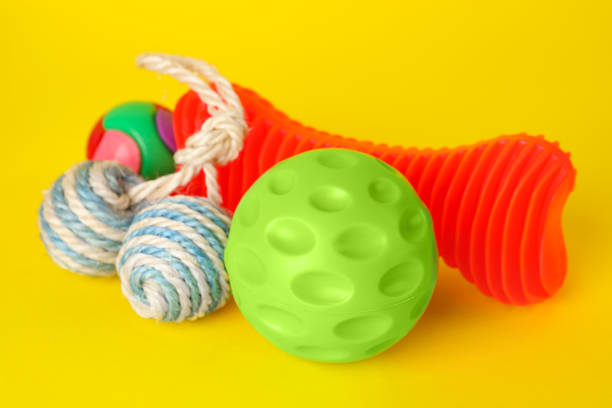 istock Various bright pet toys on yellow background 1488822934