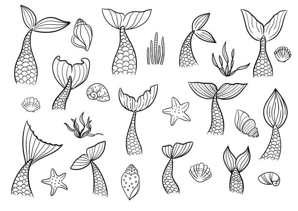 Mermaid tail with shell, seaweed, starfish cute vector icon set. Mermaid tail with shell, seaweed, starfish cute vector icon set. Line sea fish hand drawn silhouette isolated on white background. Black contour marine tale girl elements. whale tale stock illustrations