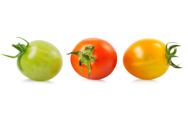 istock Fresh tomatoe isolated on white background, Raw food 1488827128