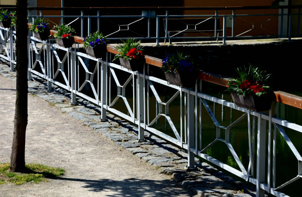 seafront with metal railings and plastic boxes attached to the handrail. filled with dry flower decoration. benches and concrete stairs by the pond. granite paving and threshed compacted surface, compacted, grandiflora, peltatum, peruviana, zonale, surfinia