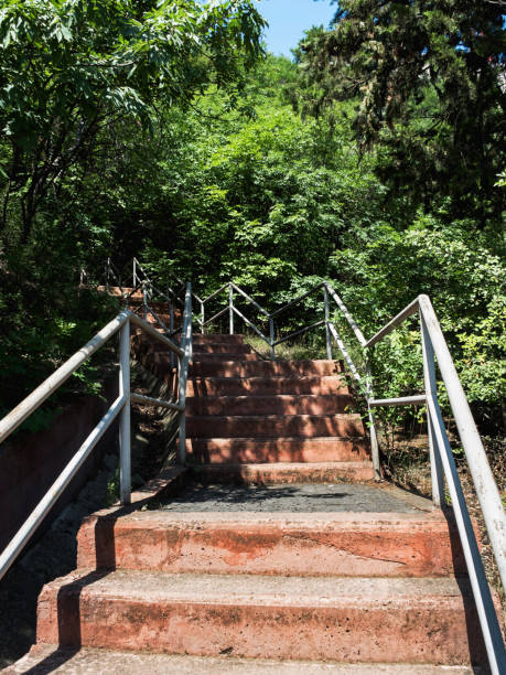 istock stairs in the mountains 1488832904