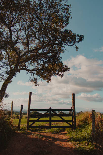 closed wooden fence