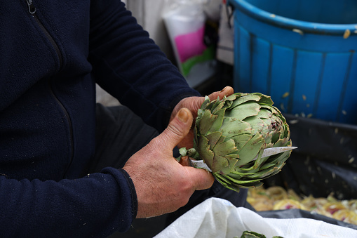 Close up of a old man cutting with a knife some raw fresh artichokes