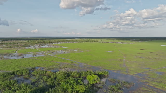 Wetland Paddy field Cambodia Video Flyover 4K Video