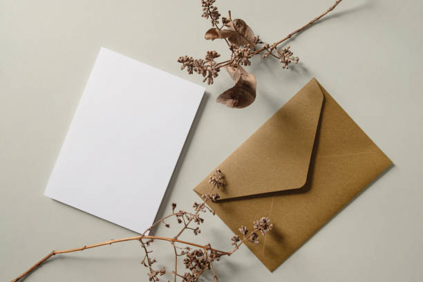 istock White blank greeting or invitation card and envelope with dried plant decoration on gray background. Mock up presentation. 1488845341