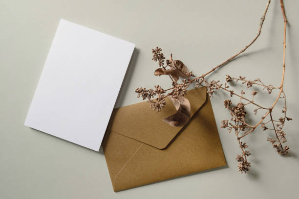 istock White blank greeting or invitation card and envelope with dried plant decoration on gray background. Mock up presentation. 1488845342