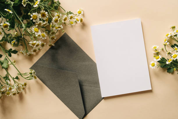 ベージュの背景に白い空白のグリーティングカードまたは招待状と封筒と白い花の装飾。モックアッププレゼンテーション。 - birthday card envelope invitation blank ストックフォトと画像