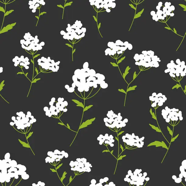 Vector illustration of Wild flower bedstraw floral seamless pattern flat