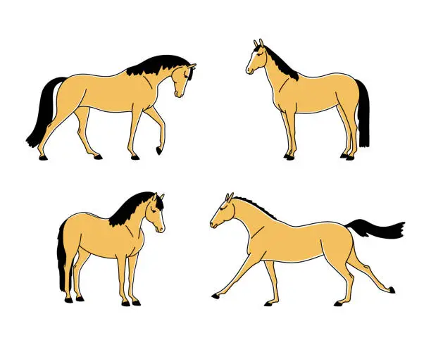 Vector illustration of Set of horses standing and moving vector flat illustration