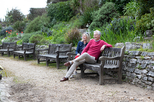 Two senior men enjoying afternoon at the park.one is holding a book and pointing at his partner's mobile phone with excitement.