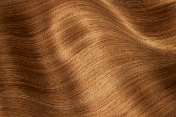 istock Hair Beauty 1488849906