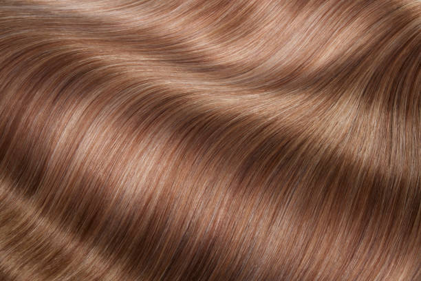 istock Hair Beauty 1488849907