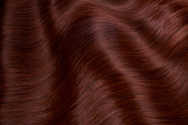 istock Hair Beauty 1488849915