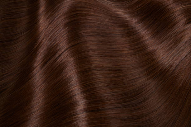 istock Hair Beauty 1488849935