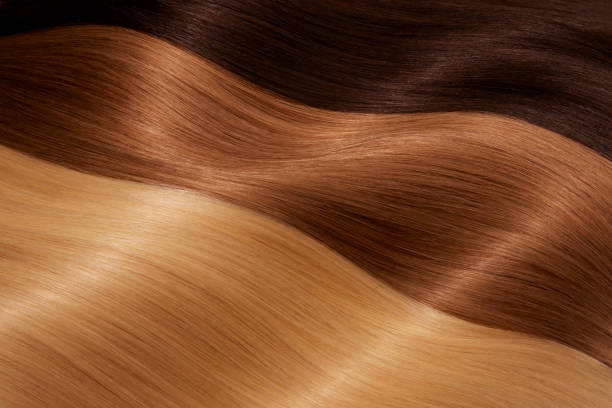 istock Hair Beauty 1488849944