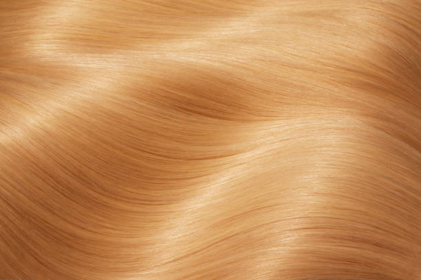istock Hair Beauty 1488849945
