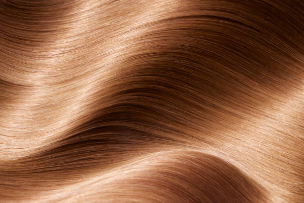 istock Hair Beauty 1488849955