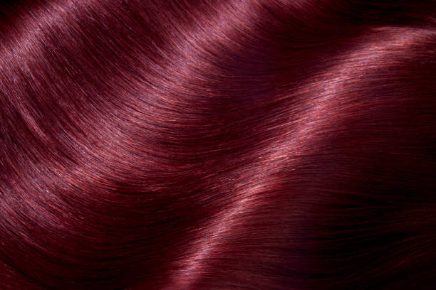 istock Hair Beauty 1488849960