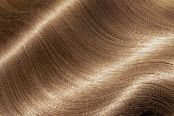 istock Hair Beauty 1488849975