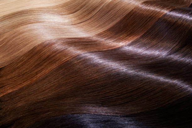 istock Hair Beauty 1488850153