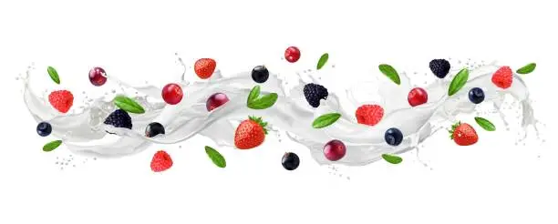 Vector illustration of Milk wave splash with berries, yogurt or cream
