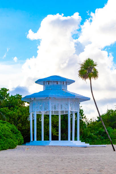 istock White noble pergula pavilion in paradise on beach palms Mexico. 1488853927