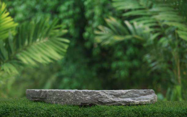 istock Stone podium tabletop floor outdoors blurred green leaf tropical forest plant nature background.Beauty cosmetic natural product placement pedestal display,jungle summer concept. 1488854798