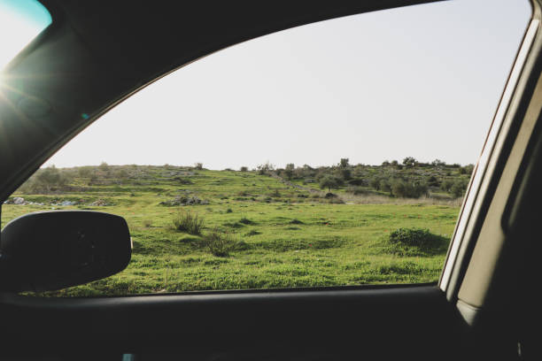 a view of a grassy field from inside a car