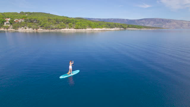 AERIAL: Gorgeous shore and blue sea water with lady and her dog paddling on SUP