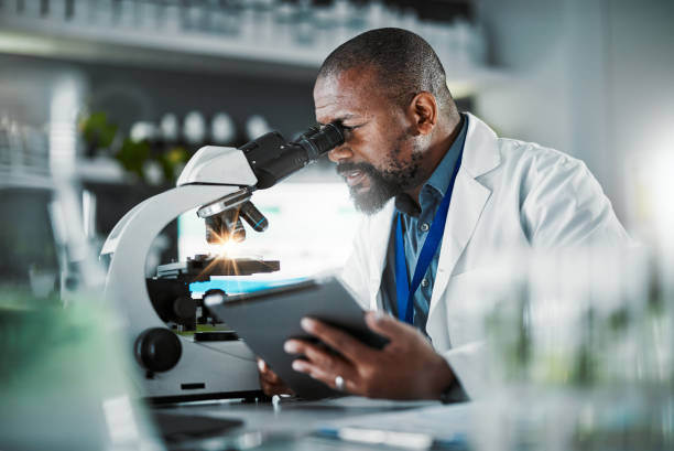 istock Black man scientist, microscope and plants in lab analysis, biodiversity study and vision for growth with tablet ux. Agriculture science, studying microbiome and laboratory research for future goal 1488859491