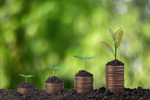 istock Coins stacked from low to high. (Saving concept) 1488870850