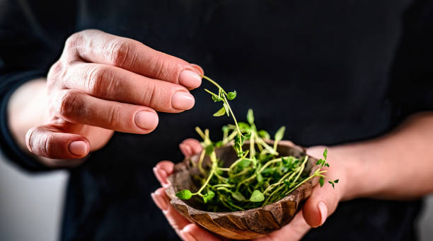 istock Girl hands holding bowl with microgreen sprouts 1488871028