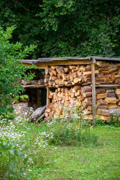 istock Dried firewood stored in a woodshed 1488871156