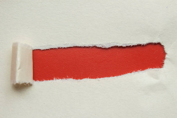 Ripped paper piece with torn edges. Top view, isolated photo.
