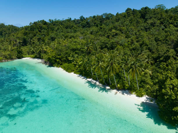 istock Aierla View of a Scenic Beach in Paradise 1488872296