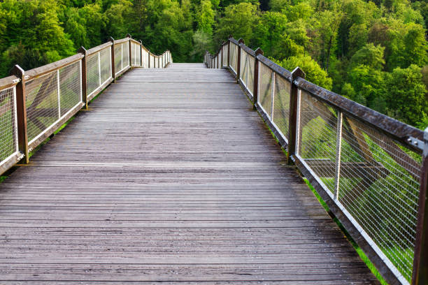 Wooden Bridge Leading to Green Hills