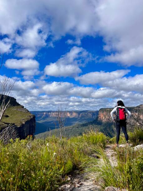 istock Walls Lookout, Blue Mountains 1488877189