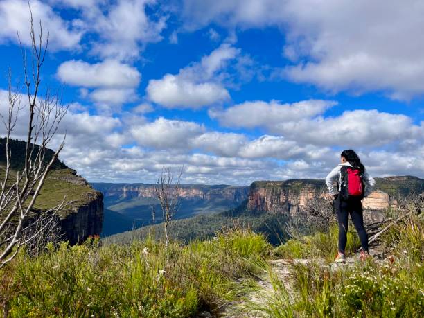istock Walls Lookout, Blue Mountains 1488877229