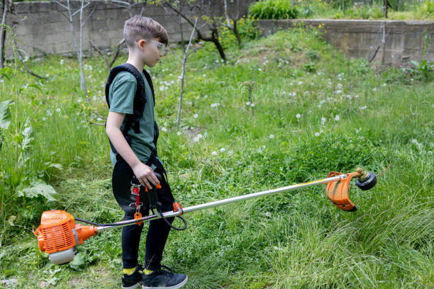 istock Boy mowing tall green grass with lawn trimmer 1488878621