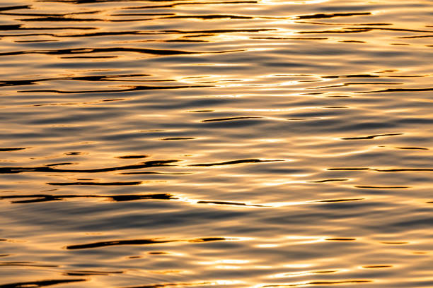 Free Stock Photo of Golden reflections on ocean water surface ...
