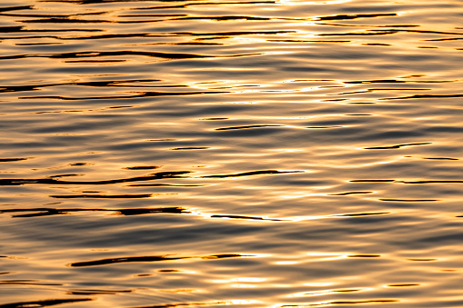 Wave on water surface with reflecting golden sunlight.