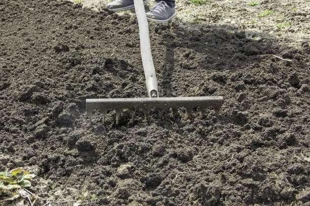 istock the rake is harrowing the ground in the garden after digging 1488884334
