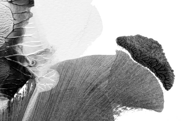 istock black white abstract acrylic painting color texture on white paper background by using rorschach inkblot method 1488884398