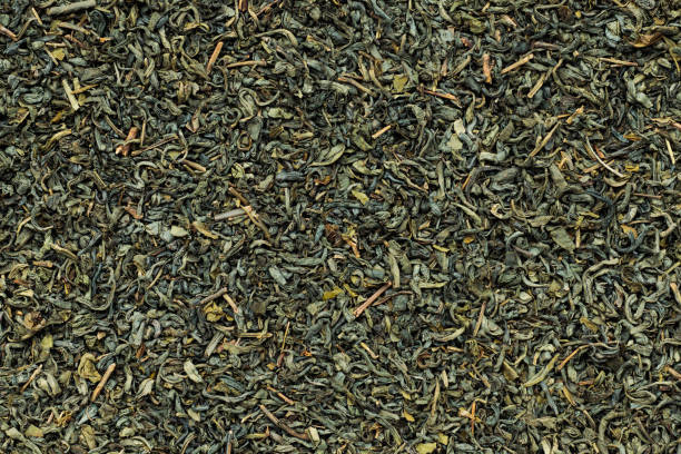 fondo de té verde - formato de relleno - dry dried plant green tea antioxidant fotografías e imágenes de stock