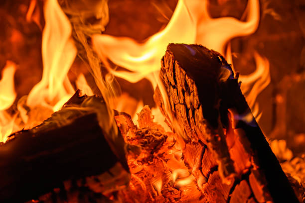 Wood burning in the fireplace in close-up