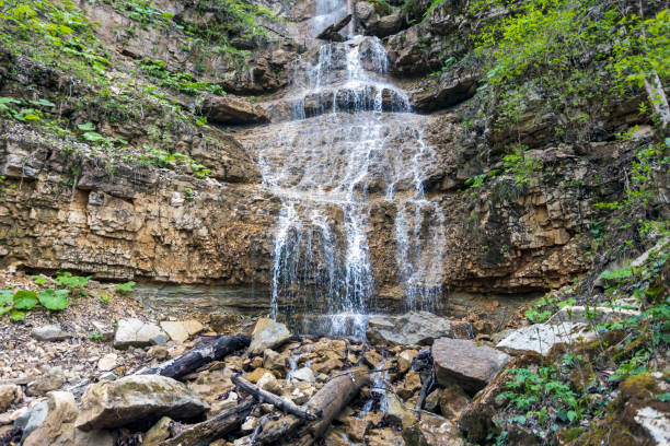 istock Waterfall in the spring forest. Forest waterfall. Landscape with a waterfall in the spring forest. 1488890976
